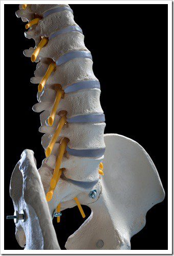 Herniated Disc and Back Pain Boardman OH