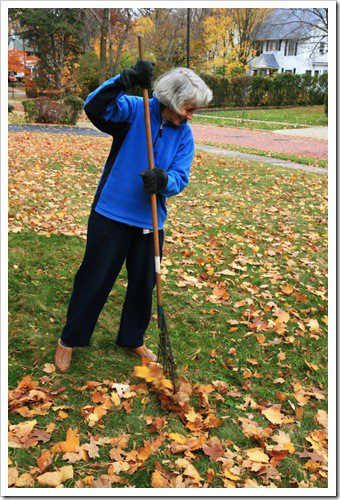 Raking Leaves