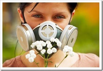 Allergy Quincy MA Hayfever