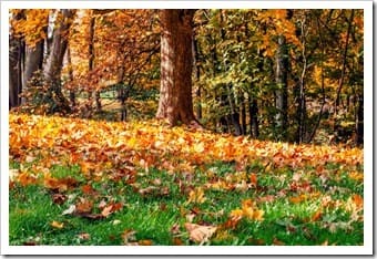 Pottstown PA Back Pain