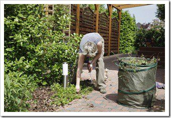 Jackson Gardening