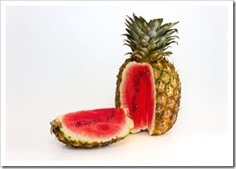 Pottstown PA Food Safety GMO