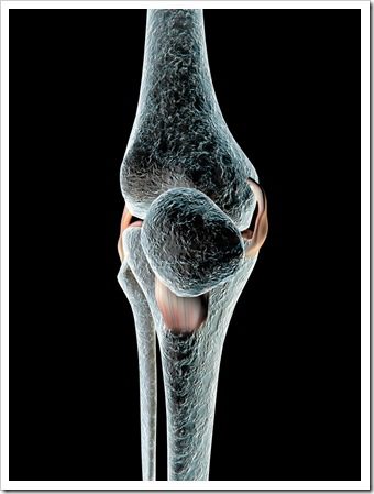 Knee Pain OFallon IL Sports Injury