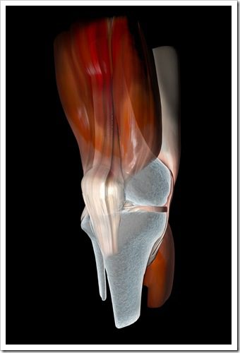 Knee Pain New Fairfield CT Sports Injury