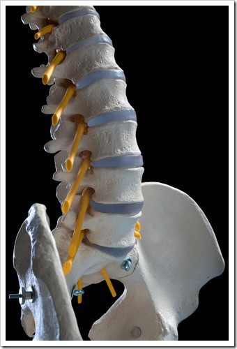 Herniated Disc and Back Pain Billings MT