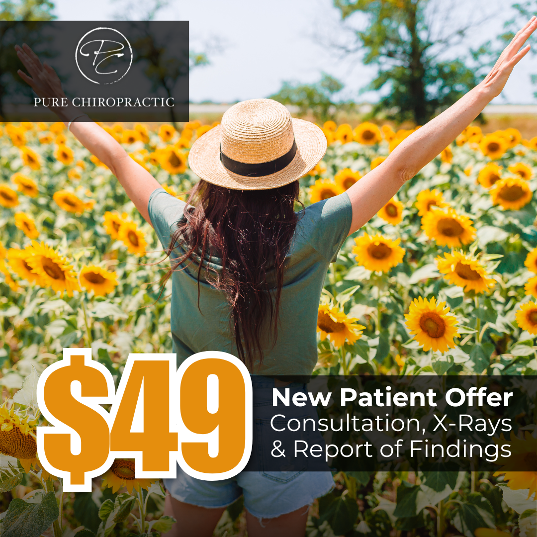 Sunflower Sept Pure Chiro 11